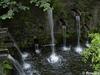 P6252833; © Rowald; Planten und Bloomen; Planten und Bloomen ...; Profil: Rowald;