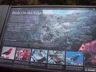 Haleakala Hosmer Grove