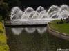 P6252898; © Rowald; Planten und Bloomen; Planten und Bloomen ...; Profil: Rowald;