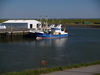Fischkutter - P6112700; Büsum, Germany; Profil: Rowald;