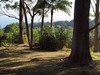 PA220048; Profil: Rowald; 