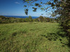 PA250124; Profil: Rowald; 