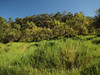 PA250178; Profil: Rowald; 