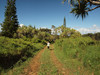 PA250190; Profil: Rowald; 