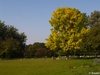 9230474_G; © Rowald; Hamburg, Germany; Profil: Rowald;