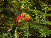 Profil: Rowald;