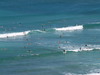 surfing people; Profil: Rowald;