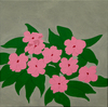 usambara; 40 x 40 cm; EUR 60,-; Profile: Gitta; 
