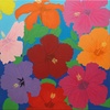 Hibiskus; 50 x 50 cm; EUR 90,-; Profil: Gitta; 