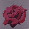 Rose 2; 30 x 30 cm; EUR 45,-; Profil: Gitta; 