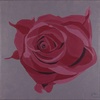 Rose 4; 30 x 30 cm; EUR 45,--; Profil: Gitta; 