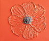 Tithonie.Orange; 30 x 24 cm; EUR 40,-; Profile: Gitta; 
