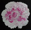 Pfingstrose; 40 x 40 cm; EUR 60,-; Profil: Gitta;