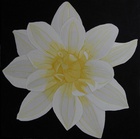 Dahlie
40 x 40 cm
EUR 60,-
