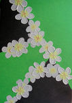 Greenplumeria
50x70
EUR 125,-