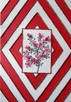Kirsch2
50 x 70 cm
EUR 125,-