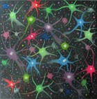 Gi38
50 x 50 cm
EUR 95,-