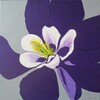 Gi211; 40 x 40 cm; EUR 65,-; Profil: Gitta;