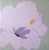 Gi213; 40 x 40 cm; EUR 65,-; Profil: Gitta;