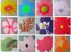 zwölfer; 12 x 40x40 cm; EUR 740,-; Profile: Gitta;
