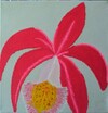 Gi219; 30 x 30 cm; EUR 50,--; Profile: Gitta;