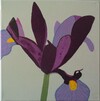 Gi220; 30 x 30 cm; EUR 50,--; Profile: Gitta;