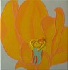 Gi221; 30 x 30 cm; EUR 50,--; Profile: Gitta;