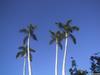 Lahaina 2000-12-02, ...; Profile: RP; 